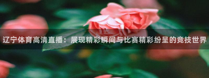 辽宁体育高清直播：展现精彩瞬间与比赛精彩纷呈的竞技世界