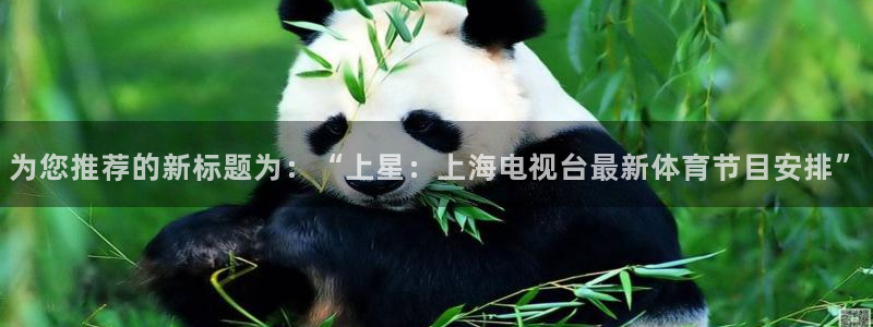 为您推荐的新标题为：“上星：上海电视台最新体育节目安排”